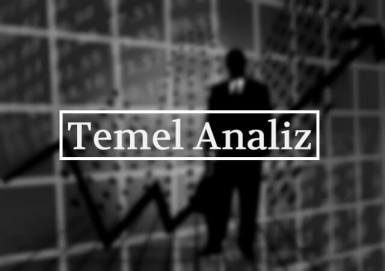Serkan UYGUR Temel Analiz.jpg